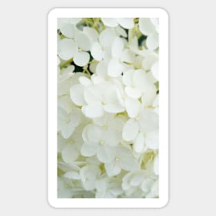 White bloom Sticker